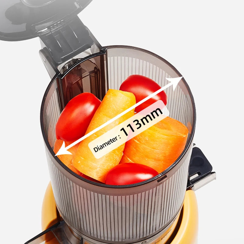 Multifunctional Large Caliber Slow Juicer – Fruits & Vegetables